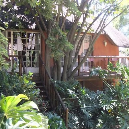Treetops & Treats Guest House Pretoria-Noord Exterior foto