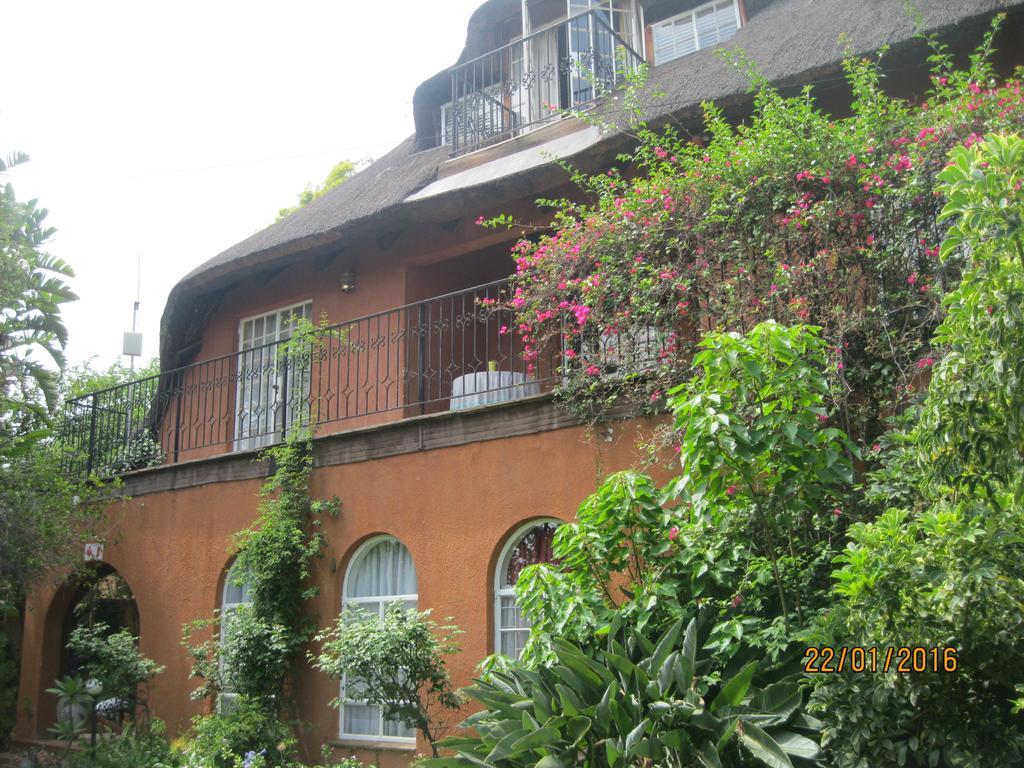 Treetops & Treats Guest House Pretoria-Noord Exterior foto