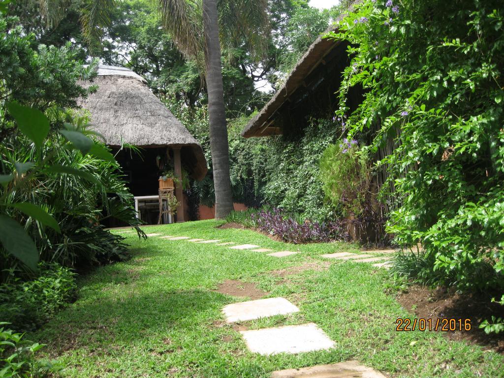 Treetops & Treats Guest House Pretoria-Noord Exterior foto