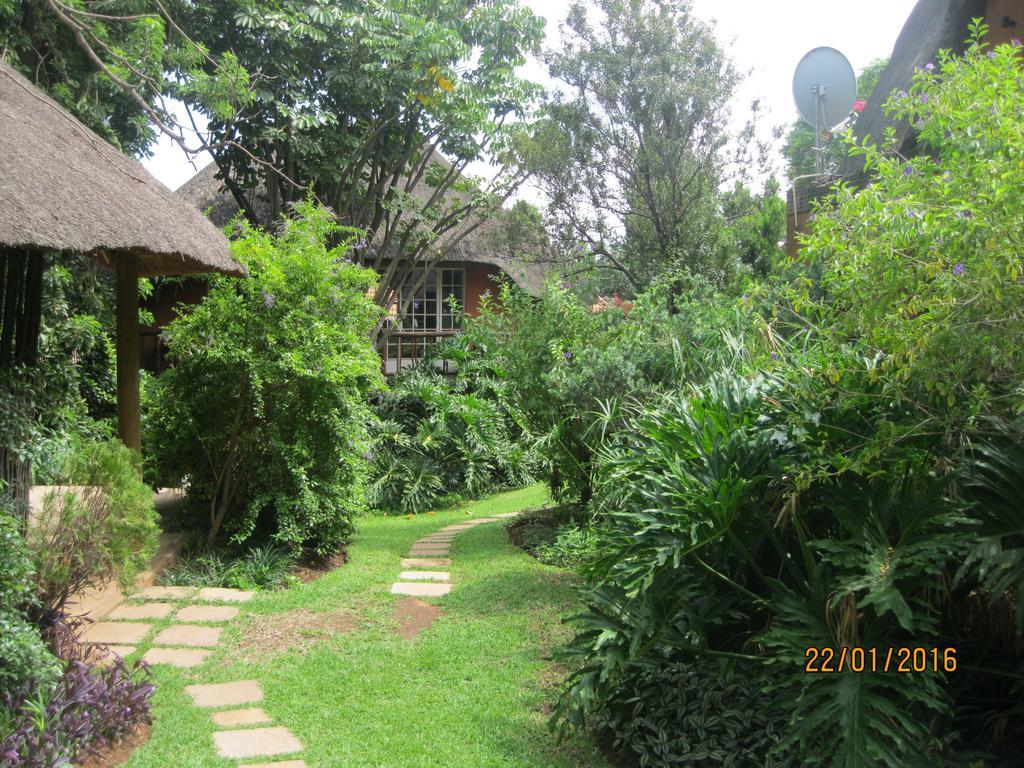Treetops & Treats Guest House Pretoria-Noord Exterior foto