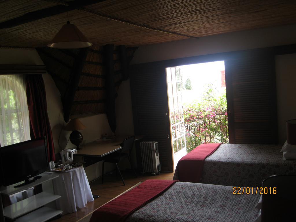 Treetops & Treats Guest House Pretoria-Noord Exterior foto