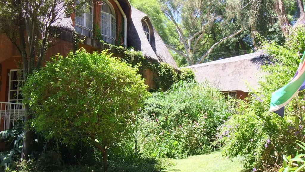 Treetops & Treats Guest House Pretoria-Noord Exterior foto