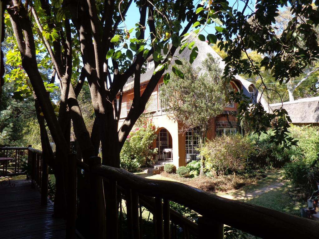 Treetops & Treats Guest House Pretoria-Noord Exterior foto
