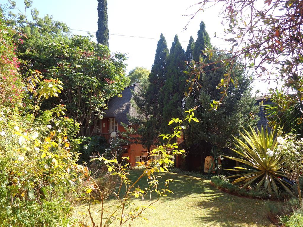 Treetops & Treats Guest House Pretoria-Noord Exterior foto
