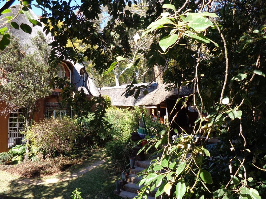 Treetops & Treats Guest House Pretoria-Noord Habitación foto