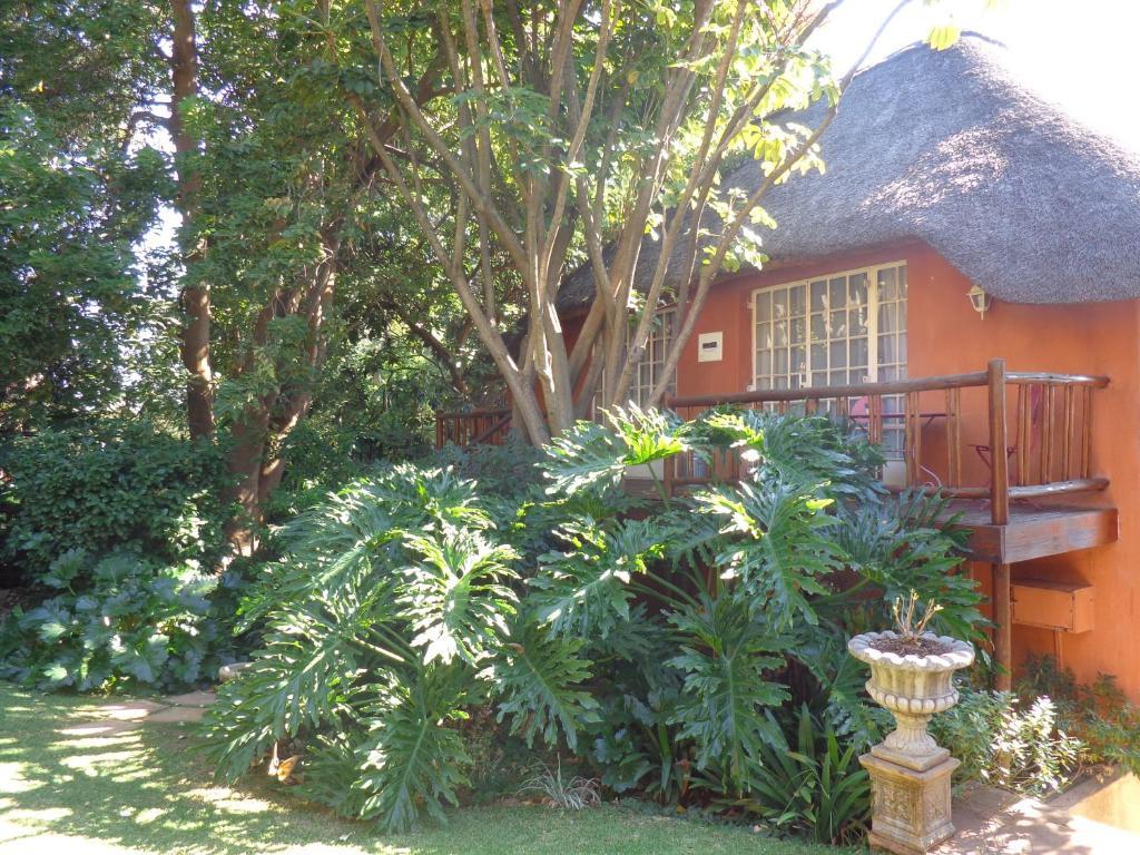 Treetops & Treats Guest House Pretoria-Noord Exterior foto