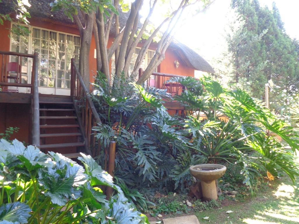 Treetops & Treats Guest House Pretoria-Noord Exterior foto
